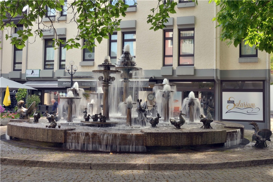 Bild 8